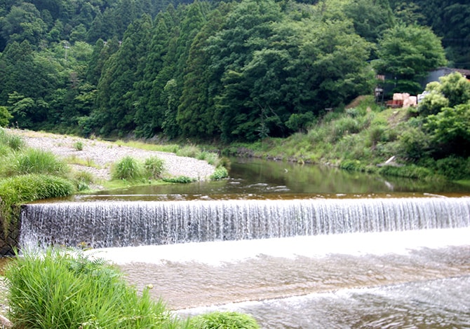 近隣の風景